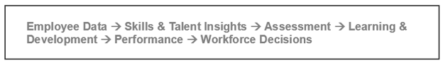 DEI Strategies